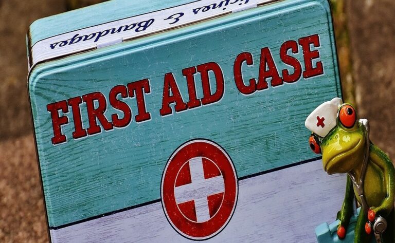 Best First Aid Kits | Reviews + Buyer’s Guide (2022)